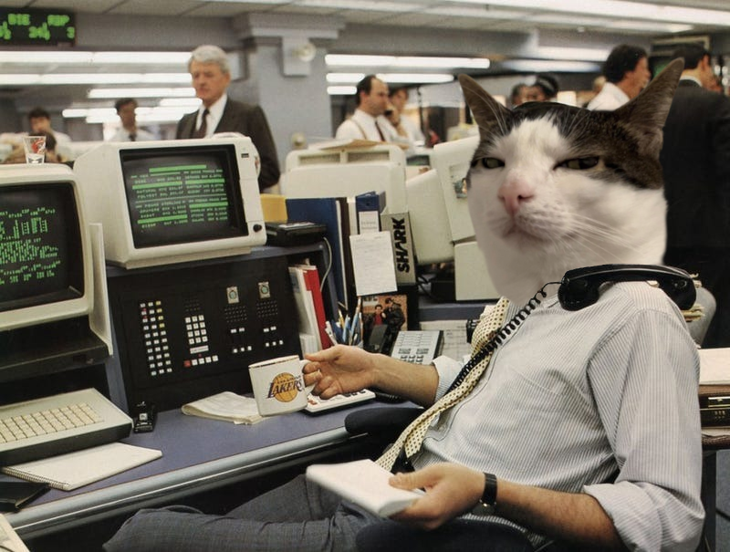 Allow Me to Introduce Myself!